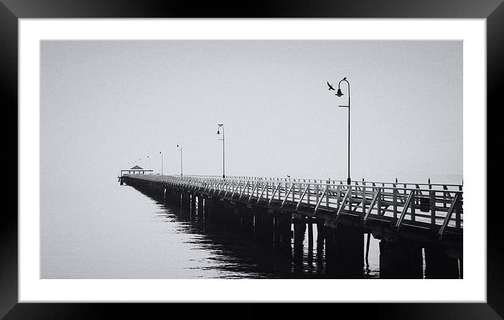Comorants on the Pier Framed Mounted Print by Peta Thames
