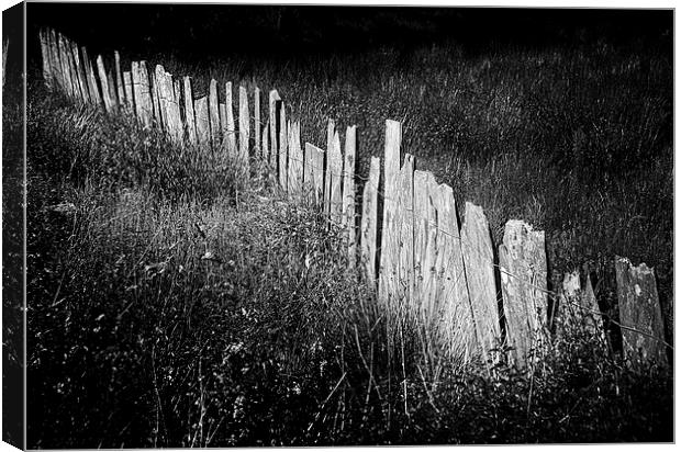 Slate Fence Canvas Print by Oriel Forest