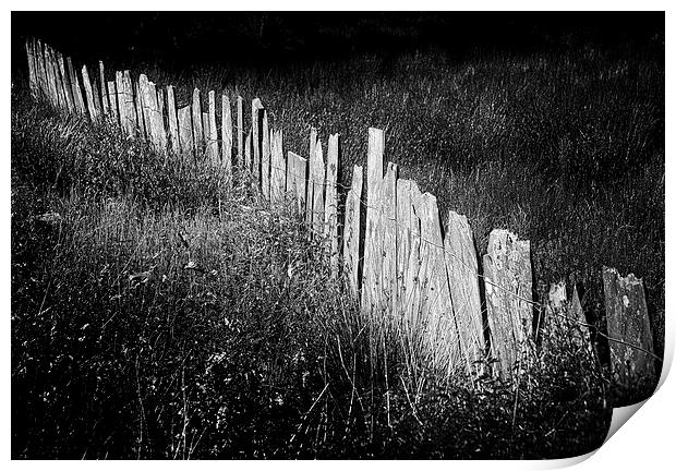 Slate Fence Print by Oriel Forest