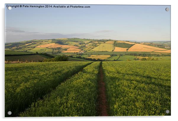 The Exe valley in Mid Devon Acrylic by Pete Hemington
