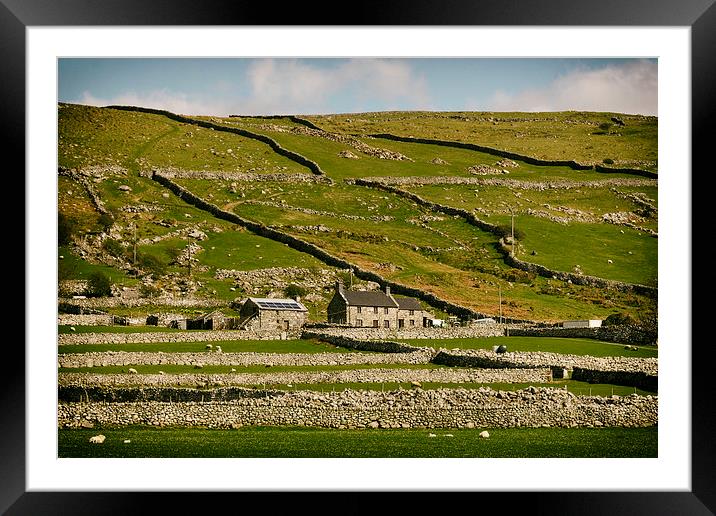Welsh Farm Framed Mounted Print by Purple OneTwoEight