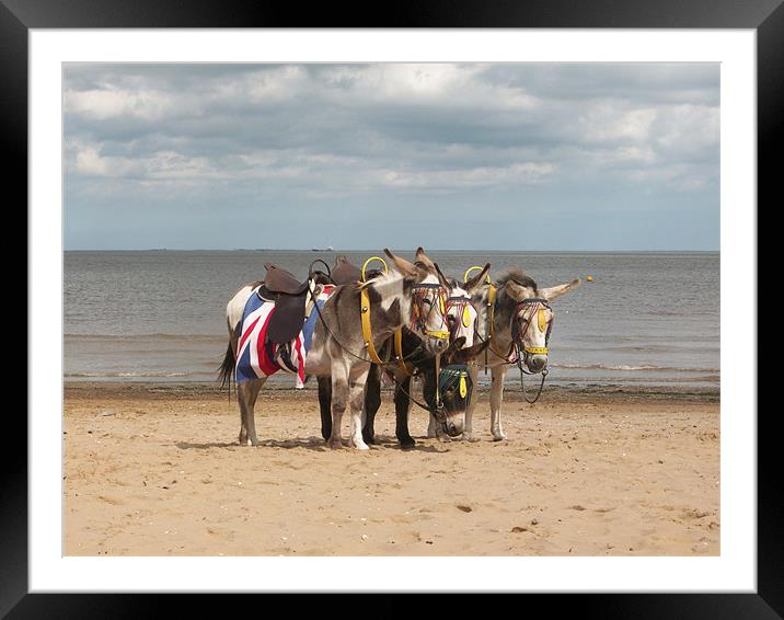 In the Donkey Ride Que Framed Mounted Print by Sarah Couzens