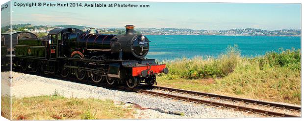 Torbay From The Train Canvas Print by Peter F Hunt