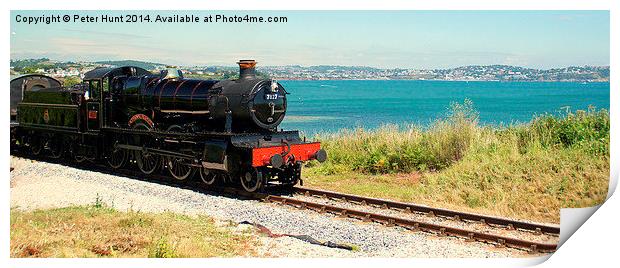 Torbay From The Train Print by Peter F Hunt