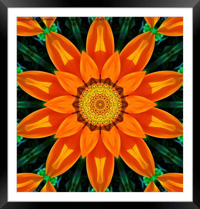 Vivid abstract flower Framed Mounted Print by Paula Palmer canvas