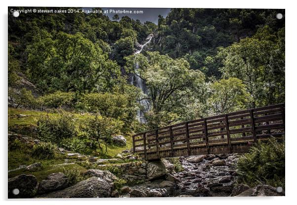 Path to Aber Falls 2 Acrylic by stewart oakes