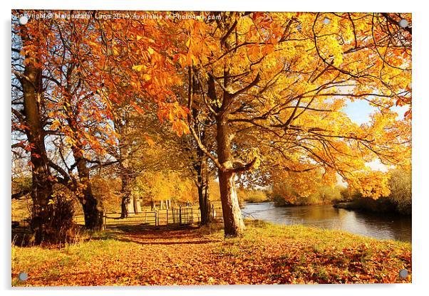 Beautiful Autumn in the Park, Scotland Acrylic by Malgorzata Larys