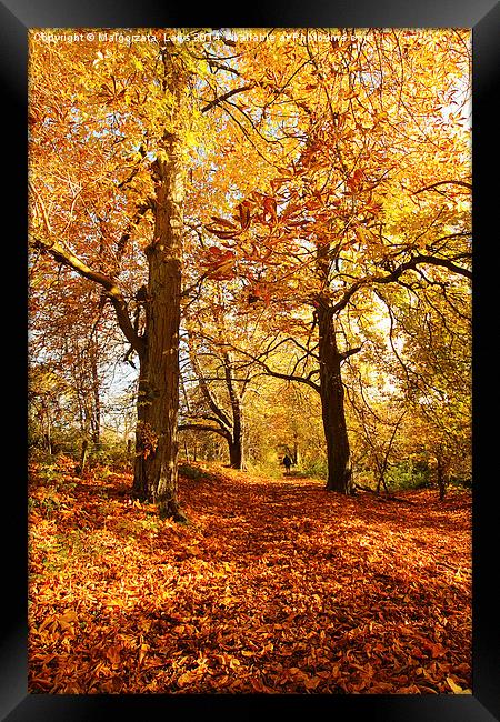 Beautiful Autumn in Motherwell Park, Scotland Framed Print by Malgorzata Larys