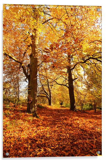 Beautiful Autumn in Motherwell Park, Scotland Acrylic by Malgorzata Larys