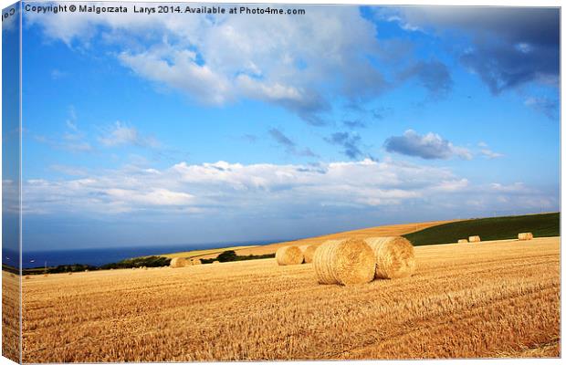 Beautiful landscape with hay bales, Scotland Canvas Print by Malgorzata Larys
