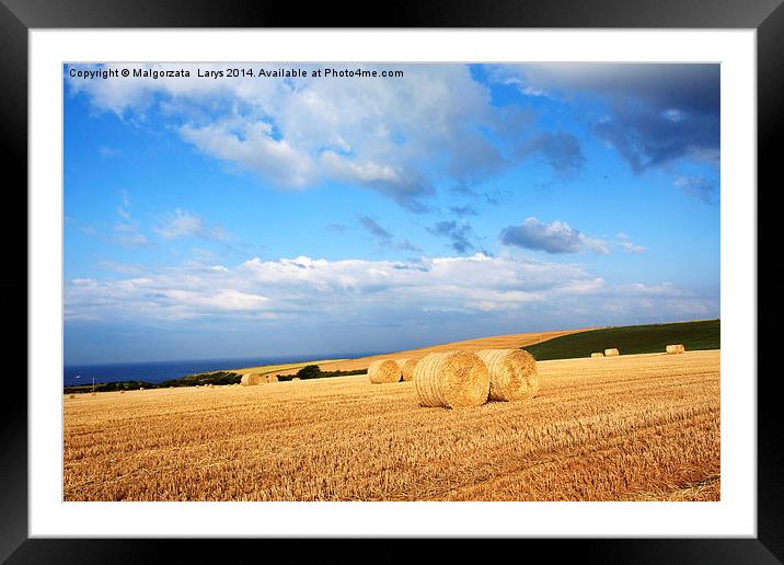 Beautiful landscape with hay bales, Scotland Framed Mounted Print by Malgorzata Larys