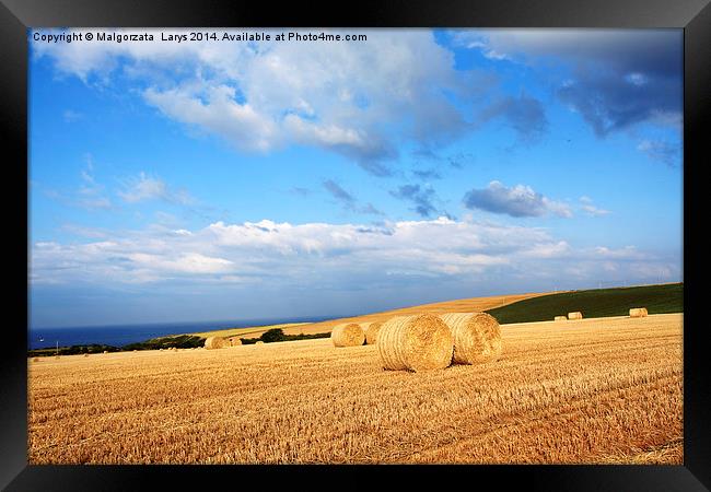 Beautiful landscape with hay bales, Scotland Framed Print by Malgorzata Larys