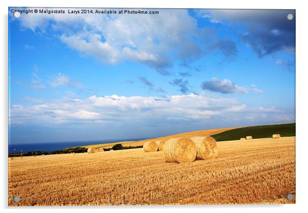 Beautiful landscape with hay bales, Scotland Acrylic by Malgorzata Larys