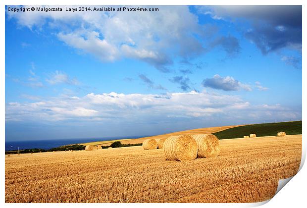 Beautiful landscape with hay bales, Scotland Print by Malgorzata Larys