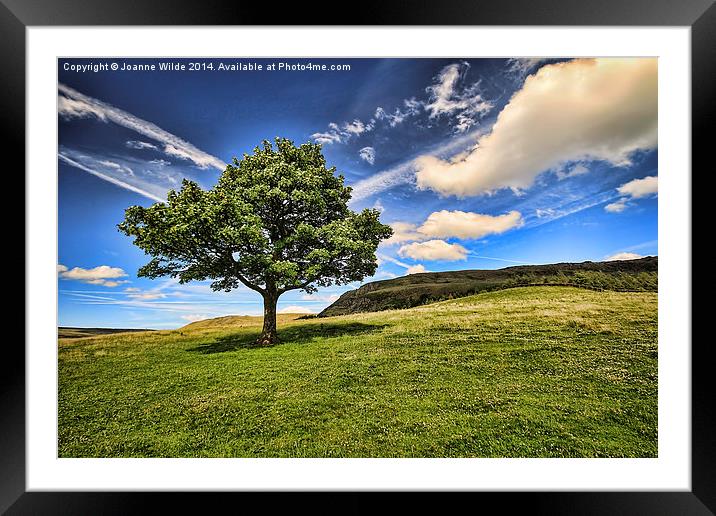 The Lonley Tree at Dovestones Framed Mounted Print by Joanne Wilde