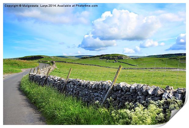 Beautiful landscape, Yorkshire Dales, England Print by Malgorzata Larys