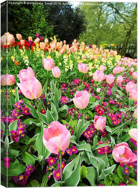 Spring tulips in St James park, London  Canvas Print by Malgorzata Larys
