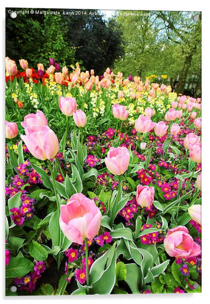 Spring tulips in St James park, London  Acrylic by Malgorzata Larys