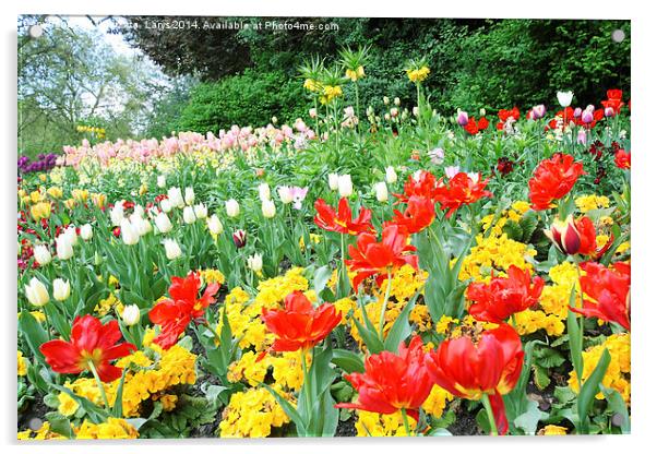 Spring tulips in English park, London  Acrylic by Malgorzata Larys