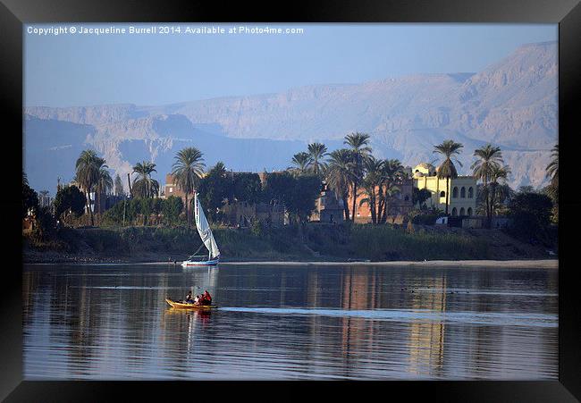 Life on the River Nile Framed Print by Jacqueline Burrell