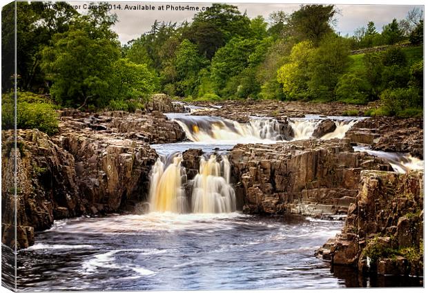 Low Force Canvas Print by Trevor Camp