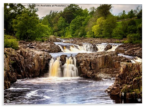 Low Force Acrylic by Trevor Camp
