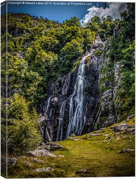 Path to Aber Falls 4 Canvas Print by stewart oakes