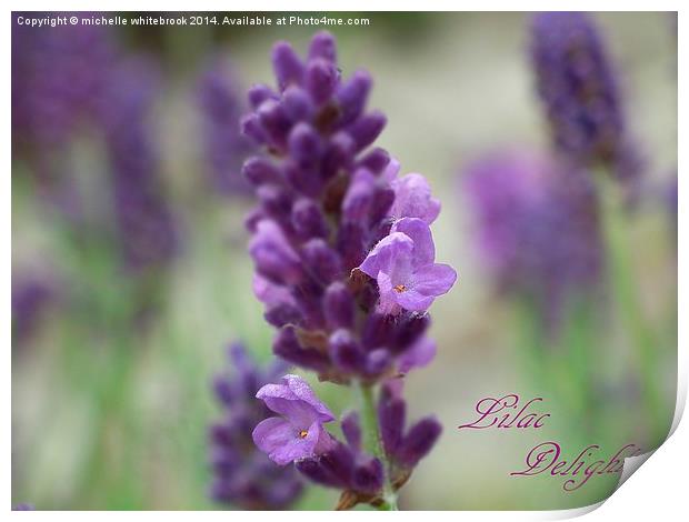 Lilac Delight Print by michelle whitebrook