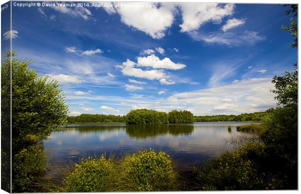 Lake at Hatfield Moor Canvas Print by David Yeaman