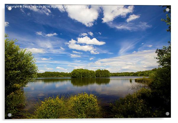 Lake at Hatfield Moor Acrylic by David Yeaman