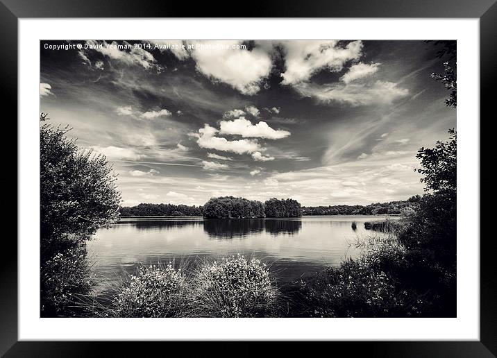 Lake at Hatfield Moor Monochrome Framed Mounted Print by David Yeaman