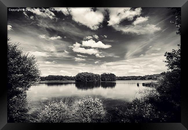 Lake at Hatfield Moor Monochrome Framed Print by David Yeaman