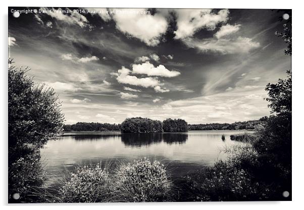 Lake at Hatfield Moor Monochrome Acrylic by David Yeaman