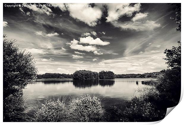 Lake at Hatfield Moor Monochrome Print by David Yeaman