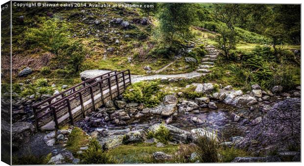 Path to Aber Falls 10 Canvas Print by stewart oakes
