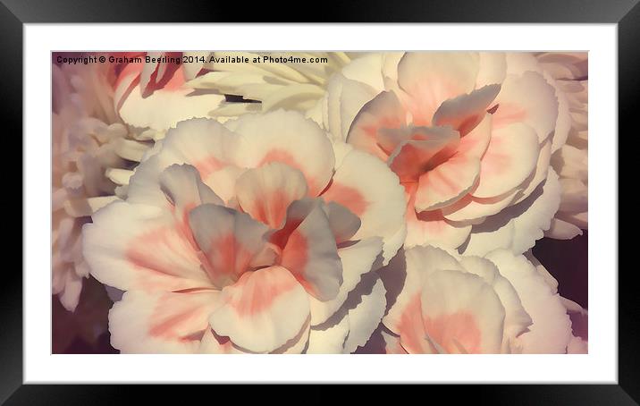 Flower Painting Framed Mounted Print by Graham Beerling
