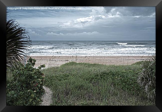 Flagler Beach Path Framed Print by Judy Hall-Folde