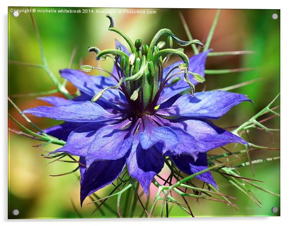 Blue love in a mist Acrylic by michelle whitebrook
