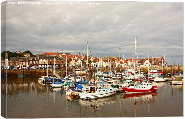 Anstruther, old fishing town in Scotland Canvas Print by Malgorzata Larys