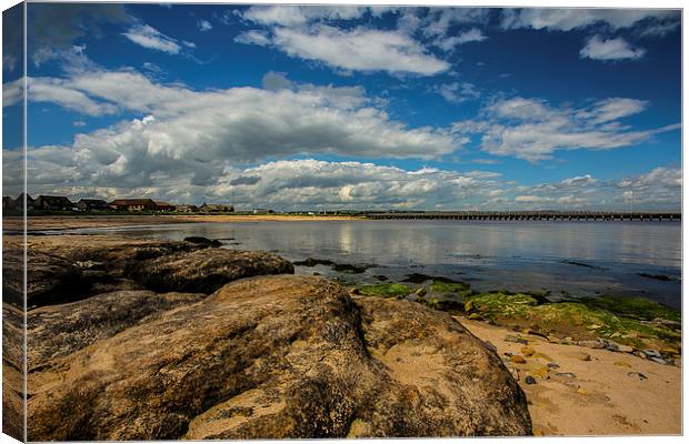 Amble Canvas Print by CHRIS ANDERSON