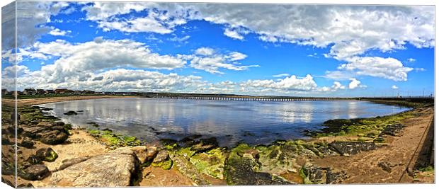 Amble panoramic Canvas Print by CHRIS ANDERSON