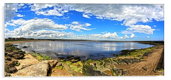 Amble panoramic Acrylic by CHRIS ANDERSON
