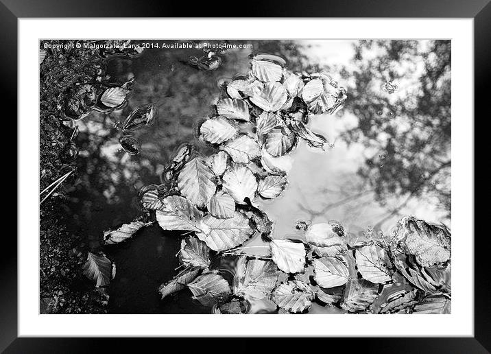 Beautiful autumnal leaves in water Framed Mounted Print by Malgorzata Larys