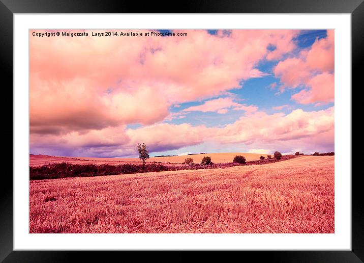 Beautiful dreamy fields in Scotland Framed Mounted Print by Malgorzata Larys