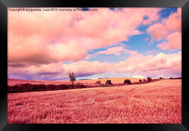 Beautiful dreamy fields in Scotland Framed Print by Malgorzata Larys