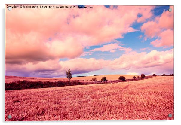 Beautiful dreamy fields in Scotland Acrylic by Malgorzata Larys