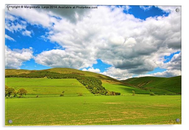 Scottish Spring landscape with hills and white clo Acrylic by Malgorzata Larys