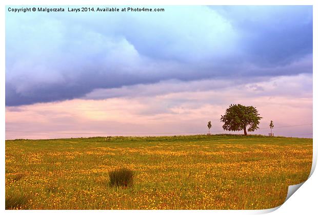 Scenic Scottish landscape with a lonely tree Print by Malgorzata Larys