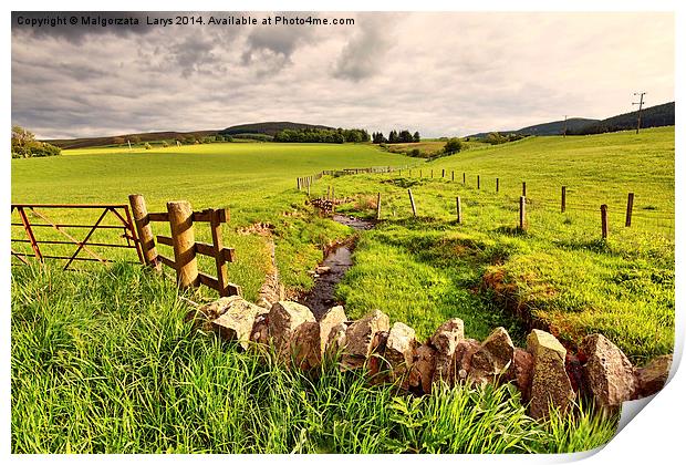 Spring rural landscape with stone wall,  Scotland Print by Malgorzata Larys