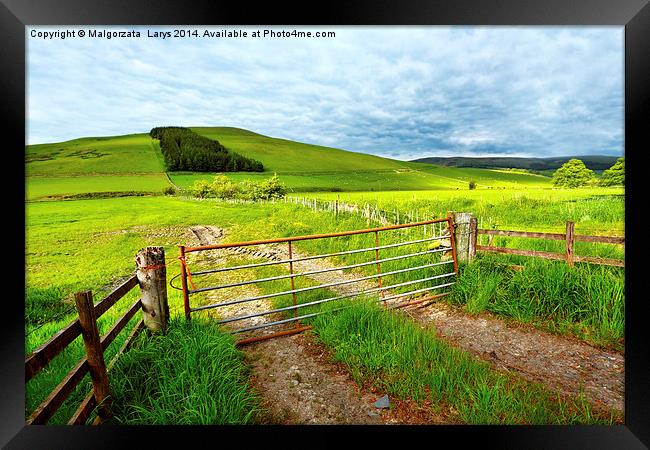Spring rural landscape in Scotland  Framed Print by Malgorzata Larys